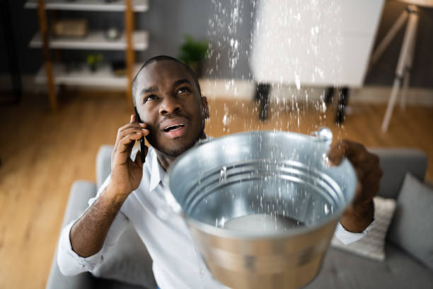 Best Flood restoration services  in Alexandria, MN