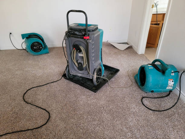 Best Water damage restoration near me  in Alexandria, MN