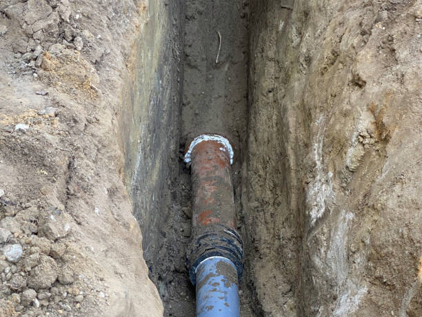 Best Local water damage restoration  in Alexandria, MN