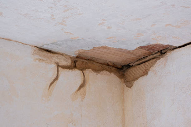 Best Water damage restoration specialists  in Alexandria, MN