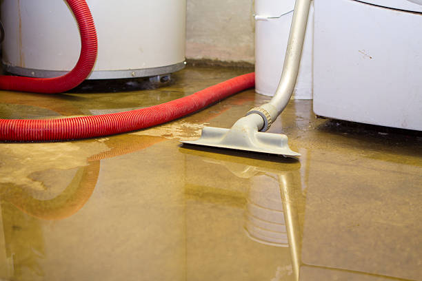 Alexandria, MN Water damage restoration Company