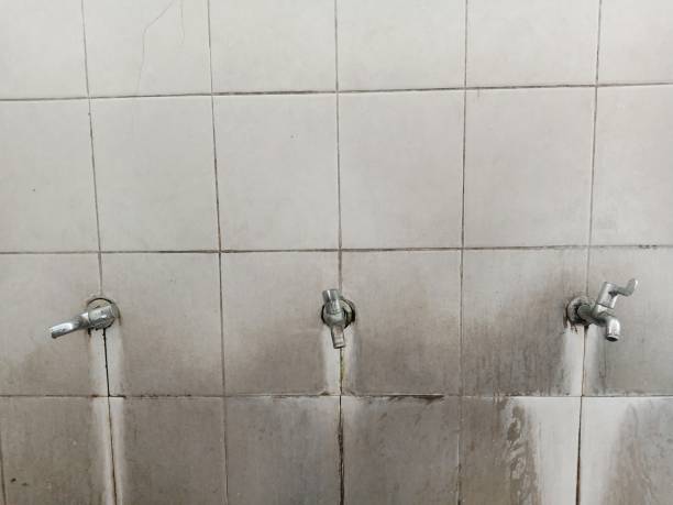 Water damage restoration mold remediation in Alexandria, MN