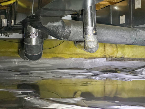 Best Flood damage cleanup  in Alexandria, MN