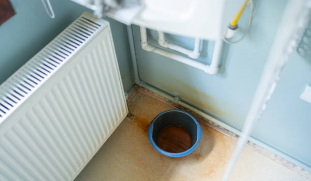 Best Emergency water extraction  in Alexandria, MN