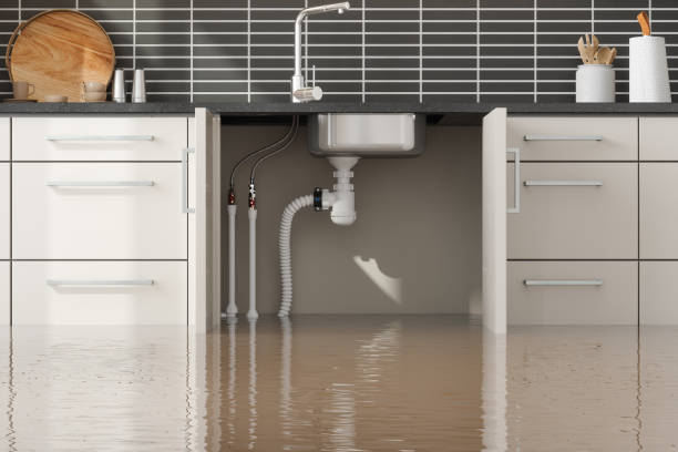 Local water damage restoration in Alexandria, MN