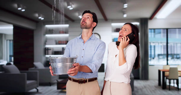 Best Water damage restoration services  in Alexandria, MN